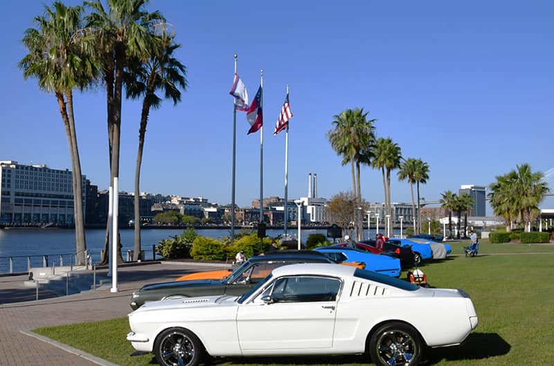 Mustang parked inside for show